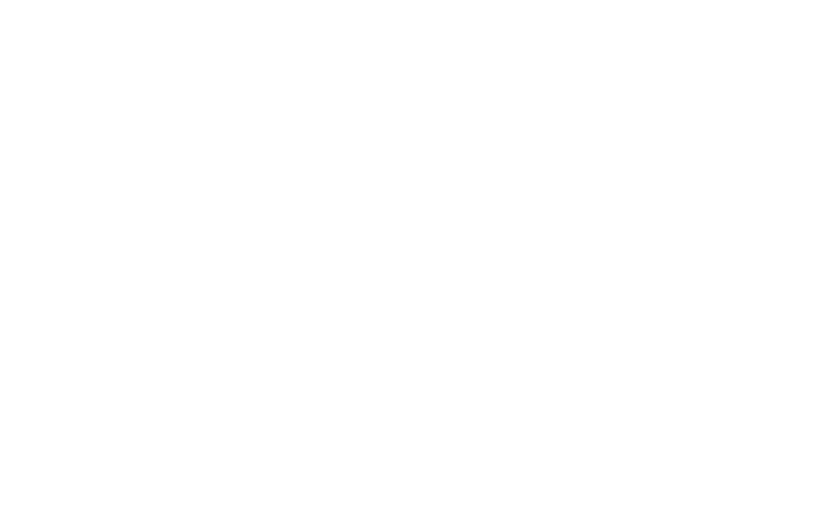 Turn LLC